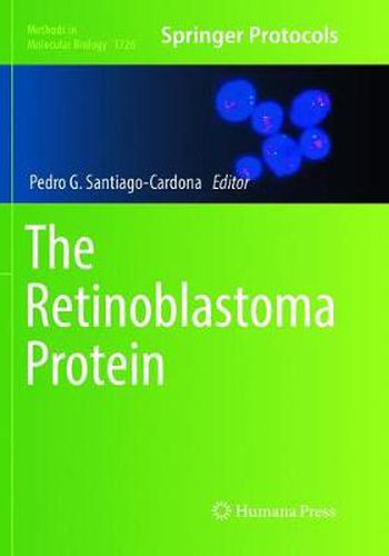 Cover image for The Retinoblastoma Protein