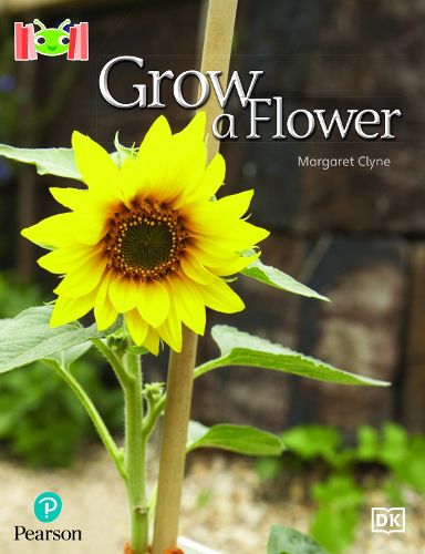 Cover image for Bug Club Reading Corner: Age 4-7: Grow a Flower