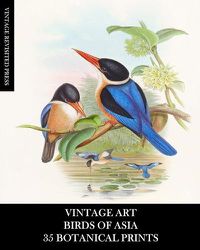 Cover image for Vintage Art: Birds of Asia: 35 Botanical Prints: Ephemera for Framing, Collage, Decoupage, and Junk Journals