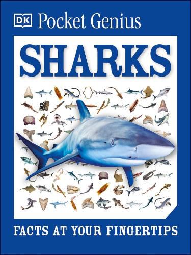 Cover image for Pocket Genius: Sharks: Facts at Your Fingertips