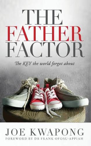 Cover image for The Father Factor The Key The World Forgot About