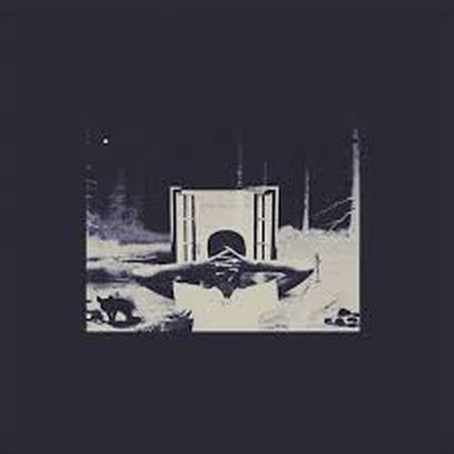 Cover image for I Dont Like Shit, I Don't Go Outside (Vinyl)