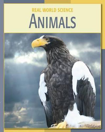 Cover image for Animals