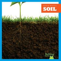 Cover image for Soil