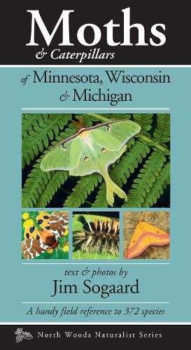 Cover image for Moths & Caterpillars of Minnesota, Wisconsin & Michigan