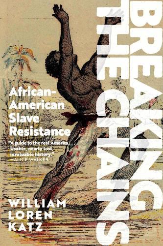 Cover image for Breaking the Chains: African-American Slave Resistance