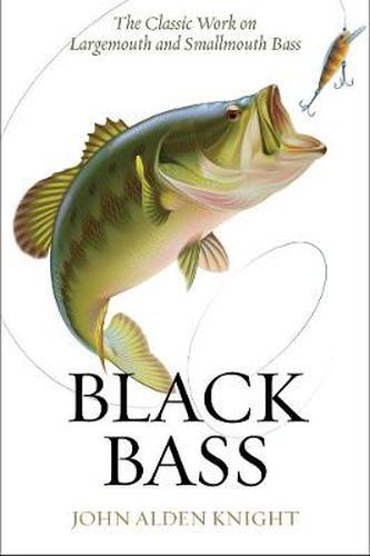 Cover image for Black Bass