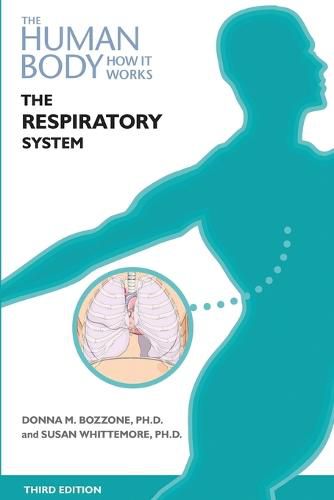 Cover image for The Respiratory System