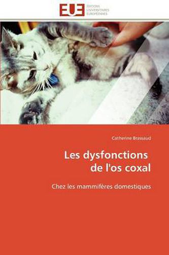 Cover image for Les Dysfonctions de L'Os Coxal