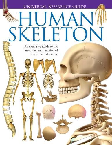 Cover image for Universal Reference Guide - HUMAN SKELETON