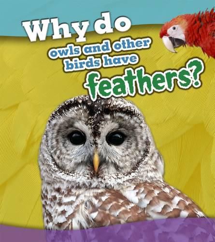 Cover image for Why Do Owls and Other Birds Have Feathers?