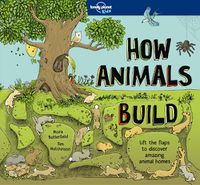 Cover image for How Animals Build