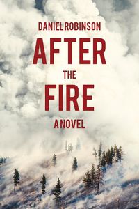 Cover image for After the Fire: A Novel