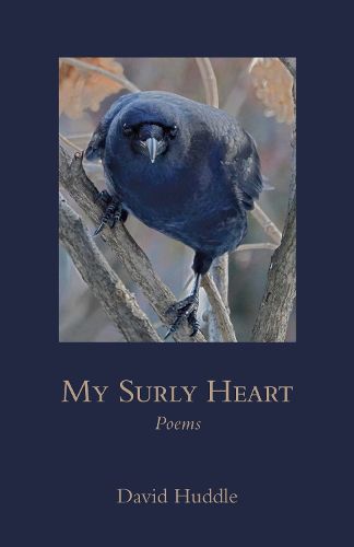 Cover image for My Surly Heart: Poems