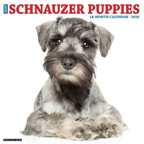 Cover image for Schnauzer Puppies 2026 12 X 12 Wall Calendar