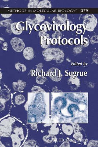 Cover image for Glycovirology Protocols