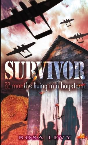 Cover image for Survivor