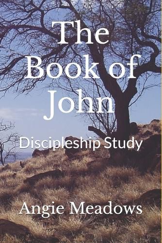 Cover image for The Book of John