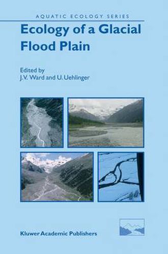 Cover image for Ecology of a Glacial Flood Plain