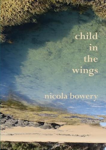 Cover image for child in the wings