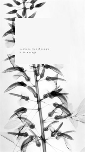Cover image for Wild Things