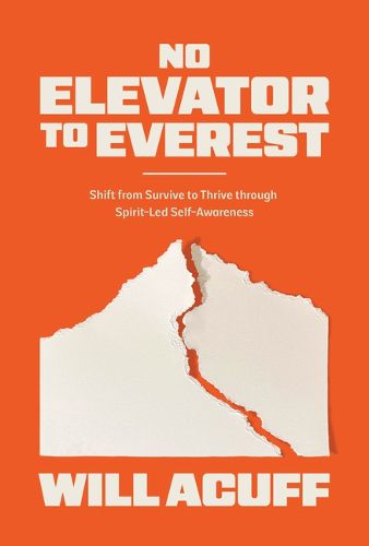 Cover image for NO ELEVATOR TO EVEREST