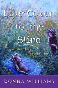 Cover image for Like Colour to the Blind: Soul Searching and Soul Finding