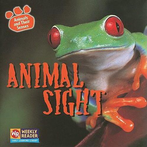 Animal Sight