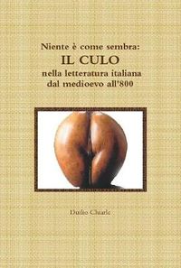 Cover image for Niente e come sembra: IL CULO nella letteratura italiana dal medioevo all'800