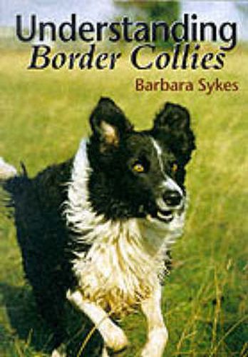 Cover image for Understanding Border Collies