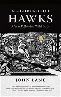 Cover image for Neighborhood Hawks: A Year Following Wild Birds