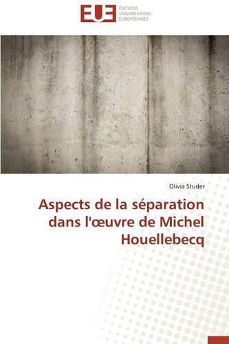 Cover image for Aspects de la S paration Dans L' Uvre de Michel Houellebecq