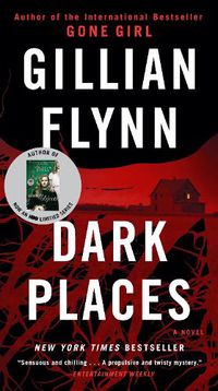 Cover image for Dark Places: A Novel