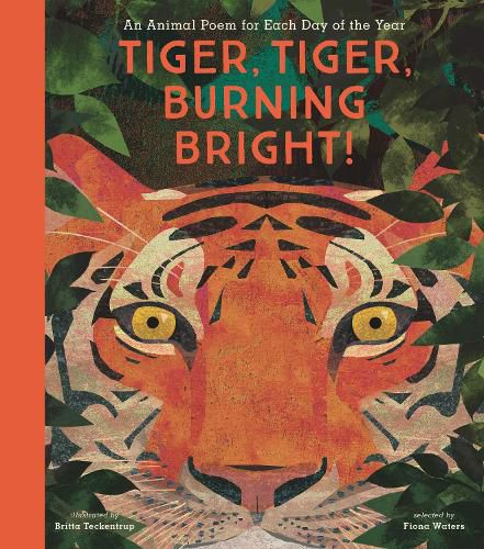 Cover image for Tiger, Tiger, Burning Bright!: An Animal Poem for Each Day of the Year