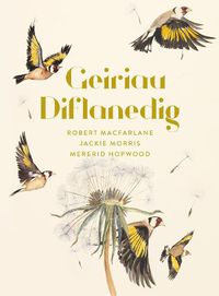 Cover image for Geiriau Diflanedig