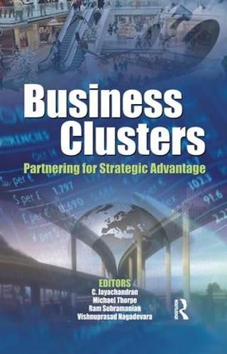 Cover image for Business Clusters: Partnering for Strategic Advantage