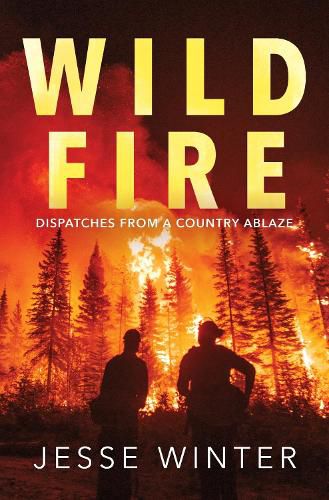 Cover image for Wild Fire