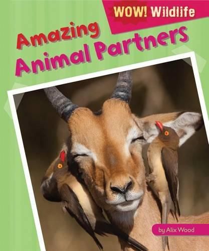 Amazing Animal Partners