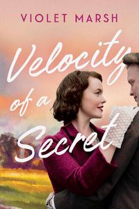 Cover image for Velocity of a Secret