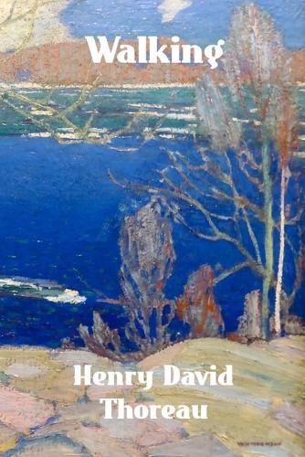 Cover image for Walking