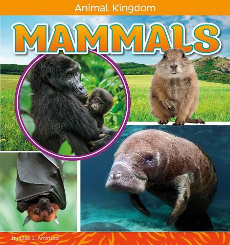 Cover image for Mammals