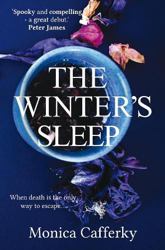 Cover image for The Winter's Sleep