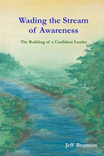 Cover image for Wading the Stream of Awareness