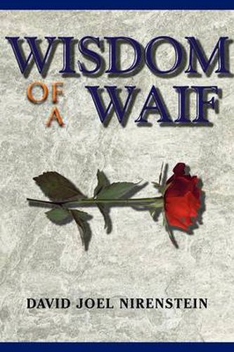 Cover image for Wisdom of a Waif