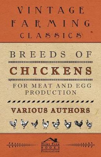 Cover image for Breeds Of Chickens For Meat And Egg Production