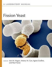 Cover image for Fission Yeast: A Laboratory Manual