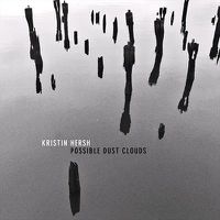 Cover image for Possible Dust Clouds *** Silver Vinyl