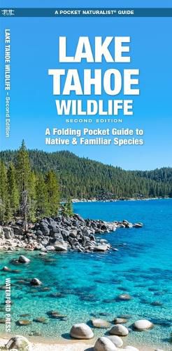 Cover image for Lake Tahoe Wildlife
