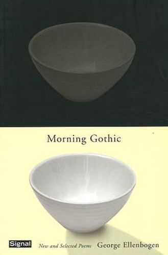 Cover image for Morning Gothic: New and Selected Poems