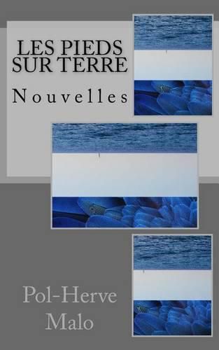 Cover image for Les pieds sur terre, et autres nouvelles